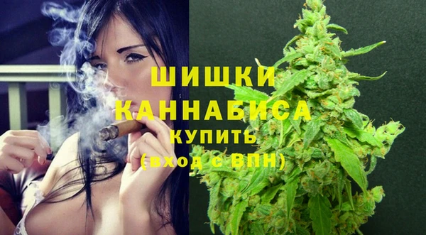 гидра Армянск