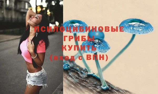 гидра Армянск