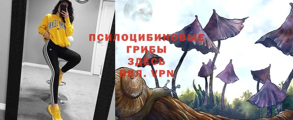 jwh Арсеньев