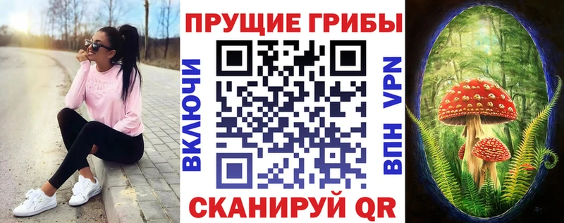 Галлюциногенные грибы Magic Shrooms  цены   Кадников 